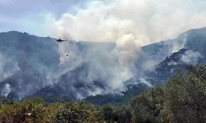 Τρεις συλλήψεις για πυρκαγιές σε Νέα Σμύρνη, Σύρο και Δράμα