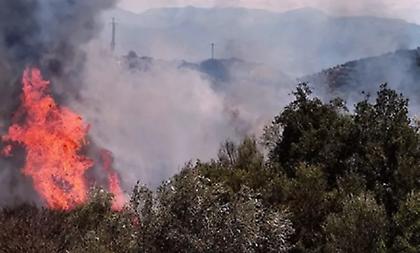 Συνεχίζεται ο πύρινος εφιάλτης στην Ηλεία: Κατευθύνεται προς Λάτα η φωτιά - Νέο 112 τη νύχτα