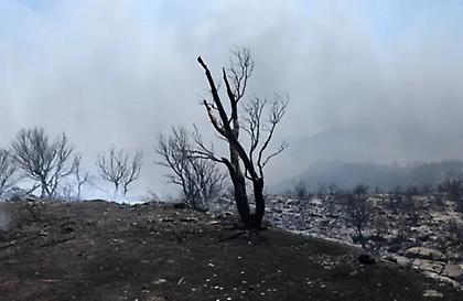 Χωρίς ενεργό μέτωπο οι πυρκαγιές σε Κερατέα και Ροδόπη - Υψηλός ο κίνδυνος φωτιάς σήμερα σε Αττική και Εύβοια