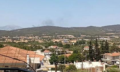 Φωτιά στον Ωρωπό - Στο σημείο δυνάμεις της Πυροσβεστικής