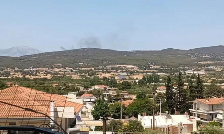 Φωτιά στον Ωρωπό - Στο σημείο δυνάμεις της Πυροσβεστικής