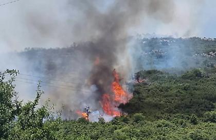 Υπό έλεγχο η πυρκαγιά σε ορεινό σημείο στα Τζουμέρκα - Οριοθετήθηκαν τα πύρινα μέτωπα σε Πιερία και Λακωνία