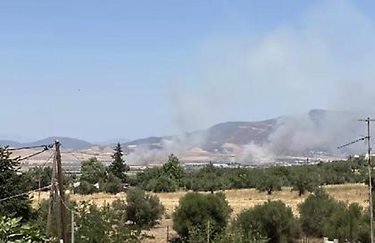 Πυροσβεστική: Δύο συλλήψεις για πρόκληση πυρκαγιών σε Ηλεία και Αττική