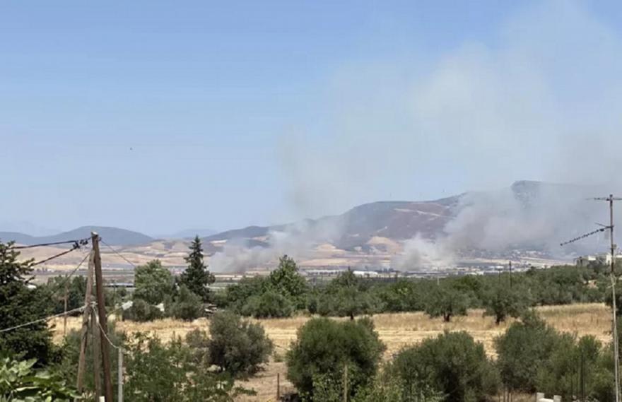 Πυροσβεστική: Δύο συλλήψεις για πρόκληση πυρκαγιών σε Ηλεία και Αττική