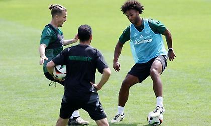 Πάλμερ-Μπράουν: Mία ενδεχόμενη «μεταγραφή» στα στόπερ