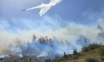 Χωρίς ενεργό μέτωπο η μεγάλη φωτιά στην Πάρνηθα - Συνεχίζεται «η μάχη» της Πυροσβεστικής με διάσπαρτες εστίες