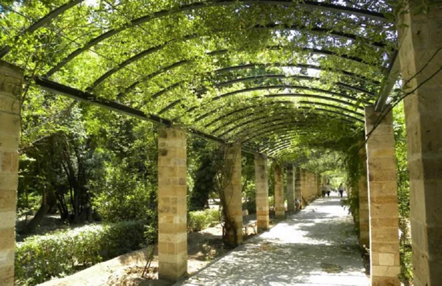 Σε συναγερμό ο Δήμος Αθηναίων λόγω ισχυρών ανέμων στην Αττική – Κλείνει ο Εθνικός κήπος Σε συναγερμό ο Δήμος Αθηναίων λόγω ισχυρών ανέμων στην Αττική – Κλείνει ο Εθνικός κήπος