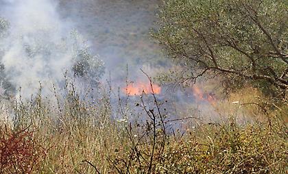 Τρεις συλλήψεις για πυρκαγιές σε Σαλαμίνα, Ραφήνα και Πόρο