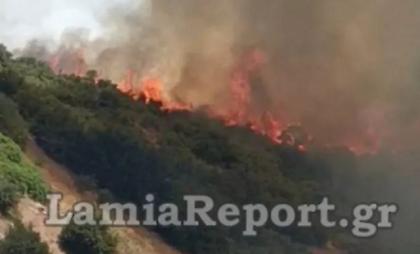 Λαμία: Μεγάλη φωτιά στην Καμηλόβρυση
