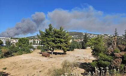 Νέο πύρινο μέτωπο στη Σταμάτα Διονύσου - Μαίνεται η φωτιά στην Κερατέα