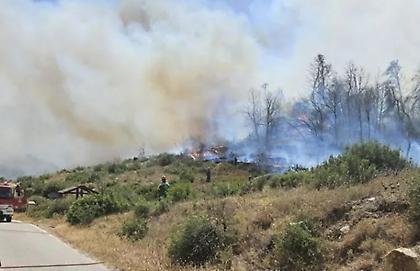 Φωτιά στην Πλάκα Κερατέας - Σπίτια παραδόθηκαν στις φλόγες - Ισχυρές δυνάμεις επί τόπου