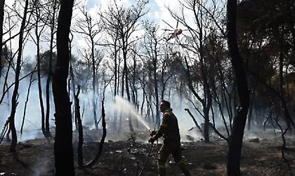 Μια σύλληψη για τη φωτιά στα Γλυκά Νερά
