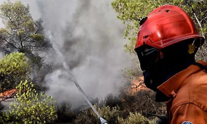 Φωτιές από κεραυνό σε δασικές εκτάσεις στη Θάσο - «Σηκώθηκαν» αεροσκάφος και ελικόπτερα