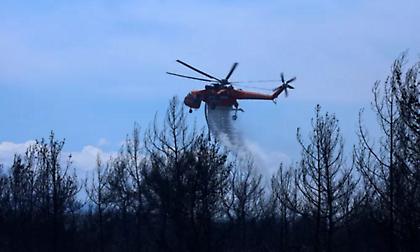Πυρκαγιά στην Πρέβεζα - Σηκώθηκαν εναέρια - Παραμένει το πύρινο μέτωπο στον Όλυμπο