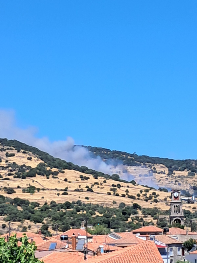 Φωτιές σε Όλυμπο και Βοιωτία