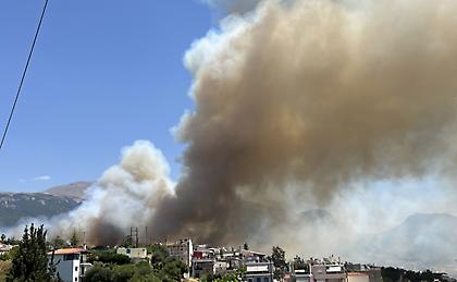 Πάτρα: Σε επιφυλακή για αναζωπυρώσεις - «Βιώσαμε δύσκολη και επικίνδυνη πυρκαγιά»