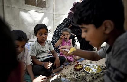 Σπαρακτικές σκηνές στη Γάζα: Αναζητώντας απεγνωσμένα τροφή, οι κάτοικοι τρώνε φύλλα μουριάς για να επιβιώσουν