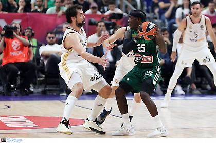 Ακυρώνεται με παρέμβαση της Euroleague το τουρνουά στο Ντουμπάι με τη συμμετοχή και του Παναθηναϊκού!