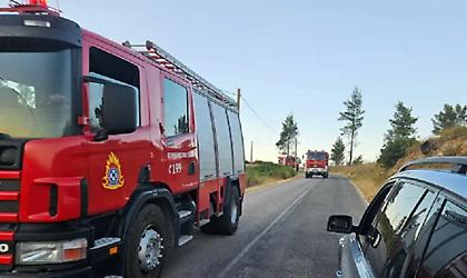 Σε εξέλιξη πυρκαγιά σε δασική έκταση στα Κρεμαστά Αγρινίου - Σηκώθηκαν εναέρια μέσα