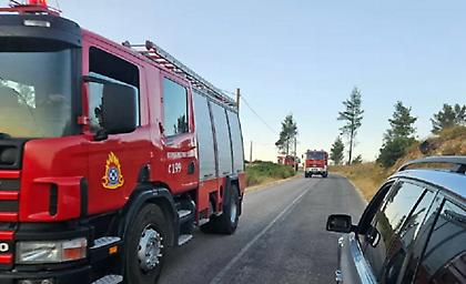 Πυρκαγιά σε δασική έκταση στο Λαύριο - Ήχησε και το 112