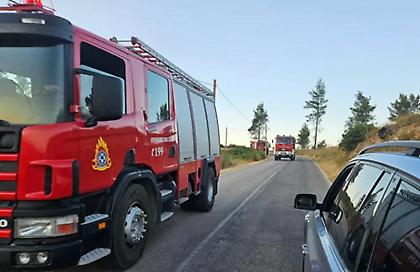 Πολύ υψηλός κίνδυνος πυρκαγιάς σήμερα - Σε επιφυλακή η Πολιτική Προστασία