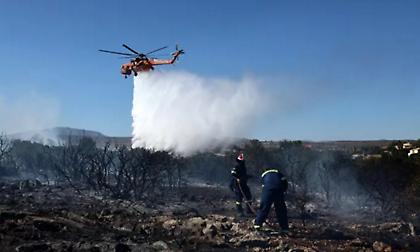 Ηλεία: Συνελήφθη άνδρας για πρόκληση πυρκαγιάς από πρόθεση και κατ’ εξακολούθηση