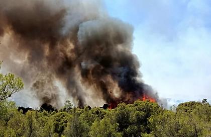 Ανεξέλεγκτη η φωτιά στο Σοφικό Κορινθίας: Ενισχύθηκαν οι δυνάμεις κατάσβεσης - Τραυματίστηκαν 3 πυροσβέστες - Βίντεο