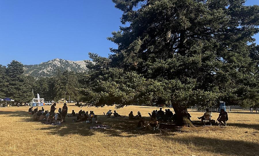 Τρεις campers βρέθηκαν στην Αρβανίτσα και μεταδίδουν: Οι λόγοι που θα επιστρέψουν του χρόνου στο φεστιβάλ