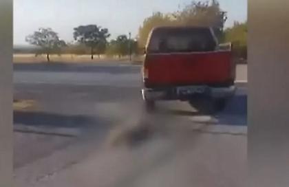 Ελεύθερος με εντολή εισαγγελέα ο ηλικιωμένος στη Βέροια που έσερνε σκύλο με το αγροτικό του αυτοκίνητο