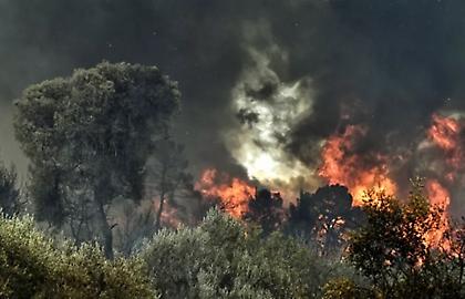 Φωτιά στα Βίλια Αττικής - Σηκώθηκαν εναέρια