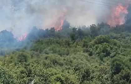 Φωτιά στη Λευκόπετρα Ξάνθης και στην Άσσηρο Θεσσαλονίκης