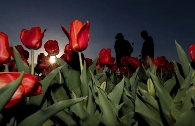 Εορτολόγιο: Ποιοι γιορτάζουν σήμερα Τετάρτη 24 Ιουλίου