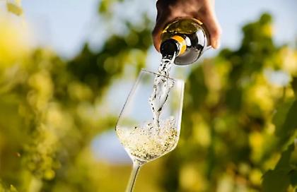 Αίτηση πτώχευσης από την εταιρεία «Τσάνταλης» - Παραμένει το ενδιαφέρον της «Ελληνικά Οινοποιεία»