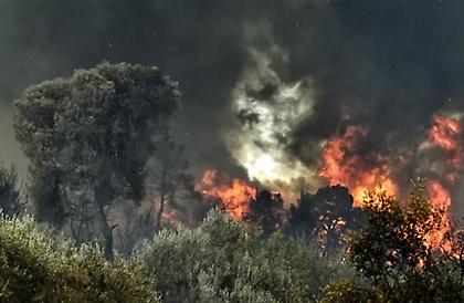 Φωτιά στην Αριάδα Αιτωλοακαρνανίας - Σηκώθηκαν τέσσερα αεροσκάφη και ένα ελικόπτερο