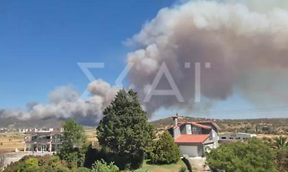 Φωτιά σε Πετριές Εύβοιας: Εκκενώνονται περιοχές - Διαδοχικά μηνύματα από το 112
