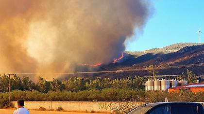Φλέγεται η Εύβοια για ένα ακόμη καλοκαίρι