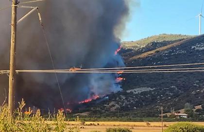 Μαίνεται η φωτιά στην Εύβοια - Ξεκίνησαν οι ρίψεις νερού από εναέρια μέσα