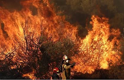 Χωρίς ενεργό μέτωπο η φωτιά στην Εύβοια: Εκκενώθηκαν περιοχές - Το ύψος της φλόγας ξεπέρασε τα 25 μέτρα