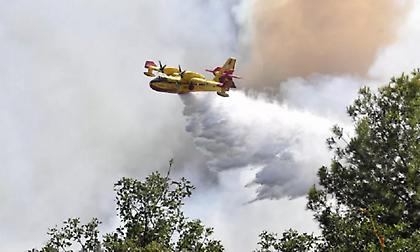 Φωτιά στην Εύβοια και τον Ασπρόπυργο - «Σηκώθηκαν» αεροσκάφη και ελικόπτερα