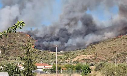 Πύρινα μέτωπα στην Ελλάδα: 52 πυρκαγιές το τελευταίο εικοσιτετράωρο σε όλη την χώρα