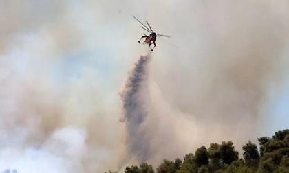 Οριοθετήθηκαν οι πυρκαγιές σε Αλιβέρι, Δομοκό, Ναύπλιο, Τανάγρα και Νέα Σάντα Ροδόπης