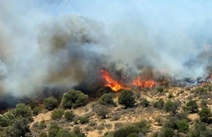 Φωτιά στο Δαφνούδι Σερρών