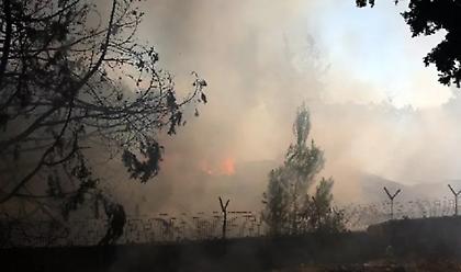 Φωτιά στον Βαρνάβα: Άνοιξαν οι χώροι του ΟΑΚΑ για τους κατοίκους των περιοχών που εκκενώθηκαν