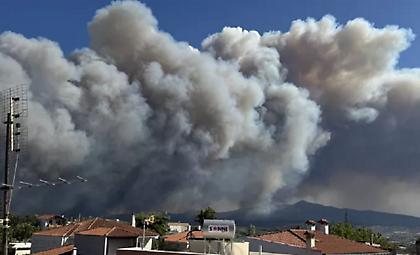 Βαθρακογιάννης: «Ξεπερνούν τα 25 μέτρα ύψος οι φλόγες στο Βαρνάβα»