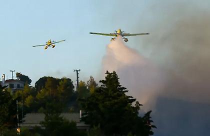 Πυρομετεωρολόγος: «Η βλάστηση είναι πολύ ξηρή και διευκολύνει την διάδοση της φωτιάς»