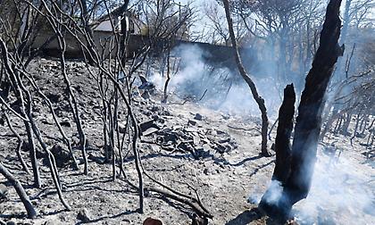 Αττική: Τα σενάρια που εξετάζει η ΕΛ.ΑΣ. για τη φωτιά που ξεκίνησε από τον Βαρνάβα