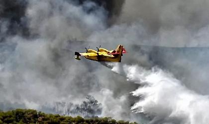 Φωτιά στις Μούσγες Μαγνησίας στο Πήλιο - Σηκώθηκαν εναέρια μέσα