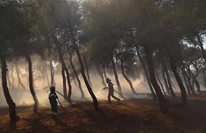 Σε πλήρη εξέλιξη η φωτιά στη Νέα Μάκρη – Νέο μήνυμα από το 112