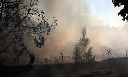 Ανακοίνωση της Πυροσβεστικής για τη φωτιά στην Βορειανατολική Αττική: Τη Δευτέρα επιχειρούσαν 36 εναέρια μέσα