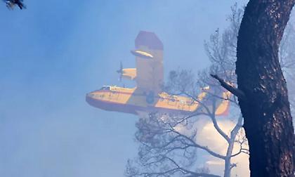Φωτιά στην Αττική: Μικρές πύρινες εστίες στην περιοχή Ερυθρός της Νέας Μακρής